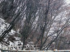 -少华山国家森林公园