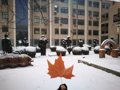 -大连理工大学(凌水校区)