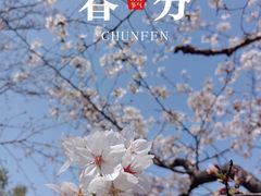 -堤角公园
