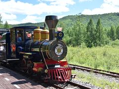 -莫尔道嘎国家森林公园