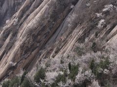 -北京凤凰岭
