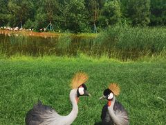 -北京野生动物园