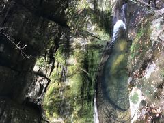 -黎坪国家森林公园