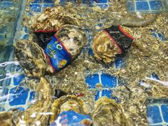 水产区-渔人湾码头海鲜市场负二楼