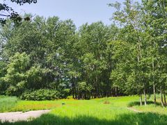 -翠湖国家城市湿地公园