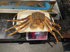 帝王蟹-蟹将军·松叶蟹和牛日料放题自助(K11店)