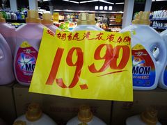-贝壳王国博物馆