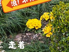 -河滨大楼