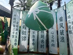-海合安成都极地海洋公园