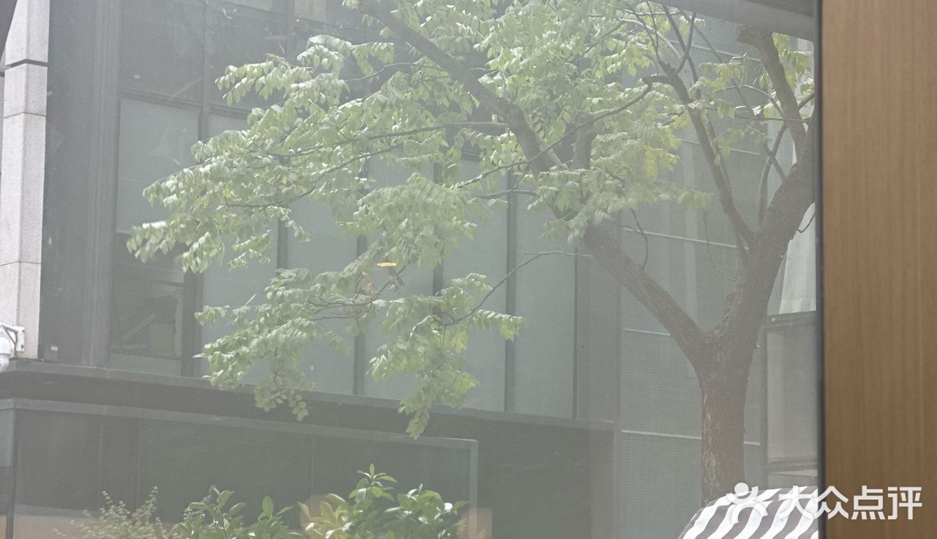 私藏的好蛋糕店今日公开