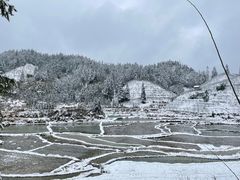 -石灰市老火锅(北滨路店)