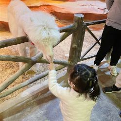 -酷嗒动物文化乐园(cutezoo西溪乐天城店)