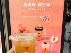 -代数学家algebraist(苏州中心店)