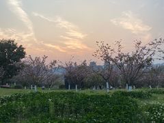 -金海湾滨江公园