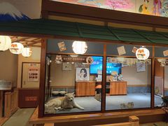 -大江户·温泉洗浴(浑南店)