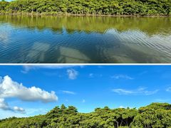 -东寨港红树林旅游区