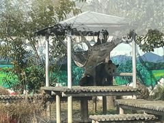 -苏州太湖国家湿地公园