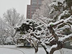 -北京工业大学-羽毛球馆