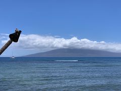 -阿甘虾餐厅(Maui)