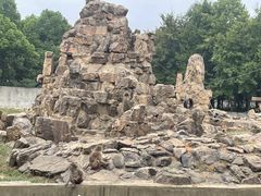 -合肥野生动物园