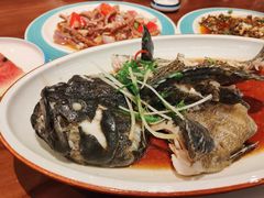 清蒸龙胆-渔傅印象滩涂霞浦海鲜(井大路店)