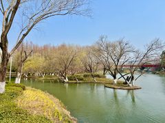 -青枫公园