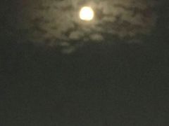 -老虎面馆