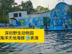 -深圳野生动物园