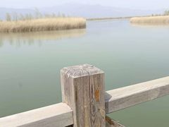 -野鸭湖国家湿地公园