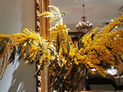 -夏朵花园(复兴西路店)