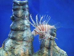 -福州罗源湾海洋世界旅游区