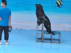 -西安秦岭野生动物园