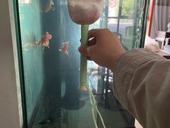-盒马鲜生(丁香国际店)