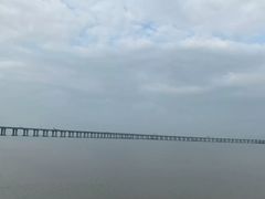 -宝安西湾红树林湿地公园