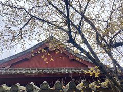 -宁波市保国寺古建筑博物馆