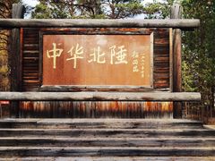 -北极村旅游风景区