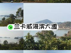 -瓜镇夜市
