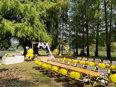 -南宁良凤江国家森林公园