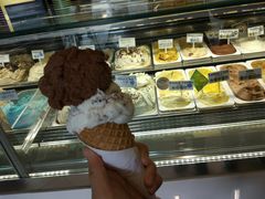 -Dooley's Premium Ice Cream