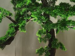 -大鹏饭店·金陵家宴(奥体中心店)