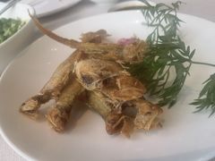 -道道鲜·崇明私房菜(五角场店)
