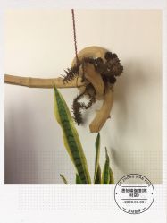 -思怡瑜伽·普拉提·减脂塑形