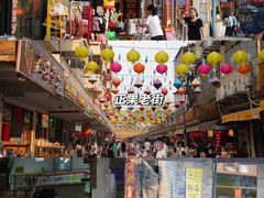 -广州白江湖森林公园