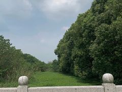 -同里国家湿地公园