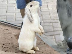 -鄂尔多斯野生动物园