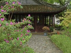 -上海醉白池公园