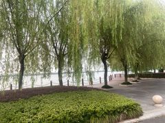 -洛漾舸船宴餐厅(洛漾半岛店)