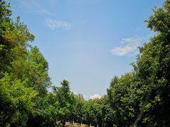 -远山有窑