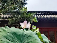 -狼山风景名胜区