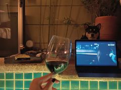 -春晖园度假酒店温泉